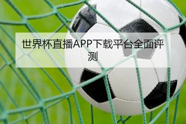 世界杯直播APP下载平台全面评测