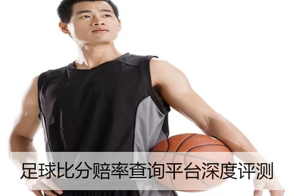 足球比分赔率查询平台深度评测