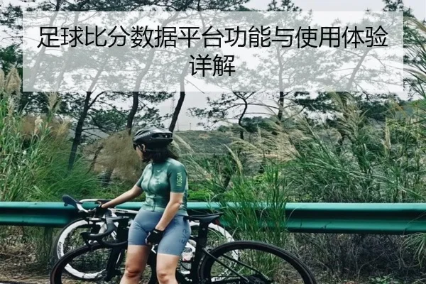 足球比分数据平台功能与使用体验详解