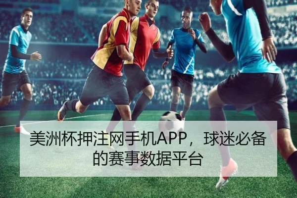 美洲杯押注网手机APP，球迷必备的赛事数据平台